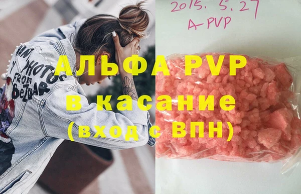 стафф Дмитров