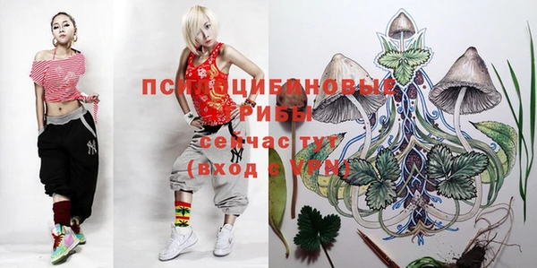 стафф Дмитров