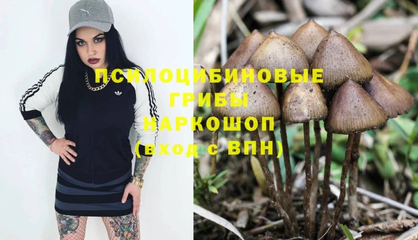 ПСИЛОЦИБИНОВЫЕ ГРИБЫ Дмитровск