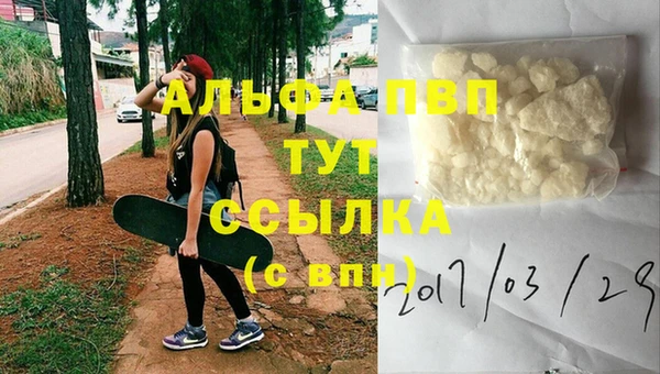 стафф Дмитров